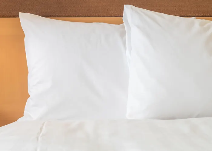 Holiday Inn Hotel&Suites - Montreal Centre-ville Ouest